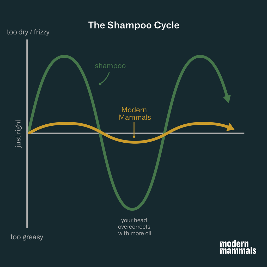 shampoo cycle