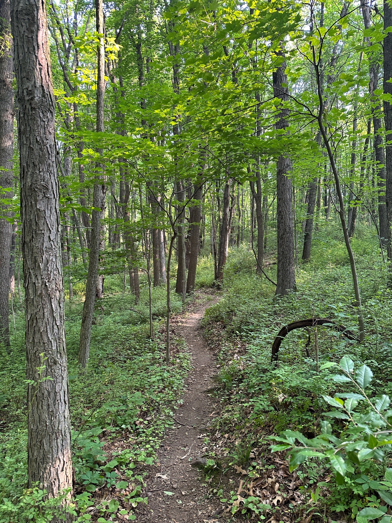 hiking trails near south bend indiana