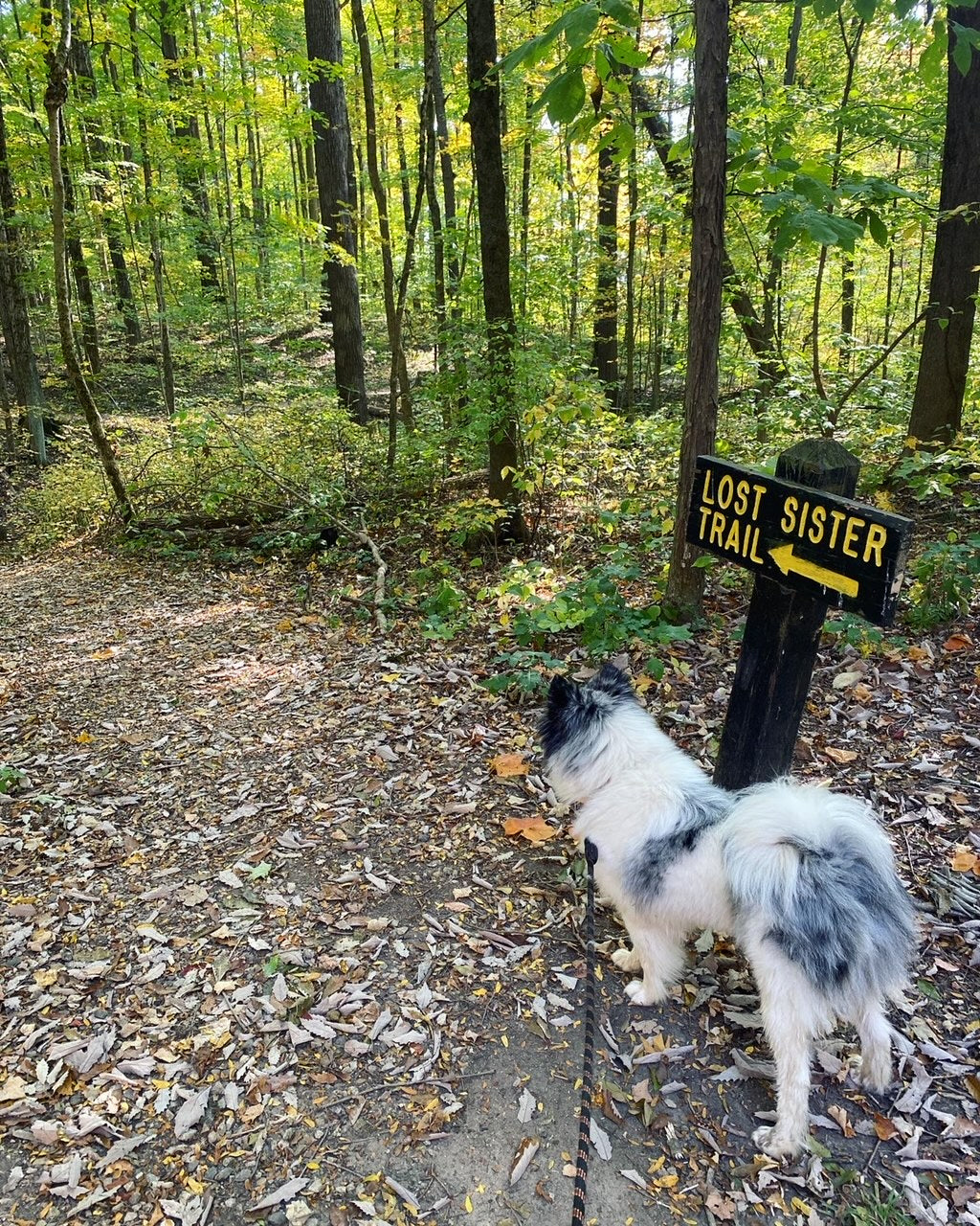 hiking trails near mishawaka indiana