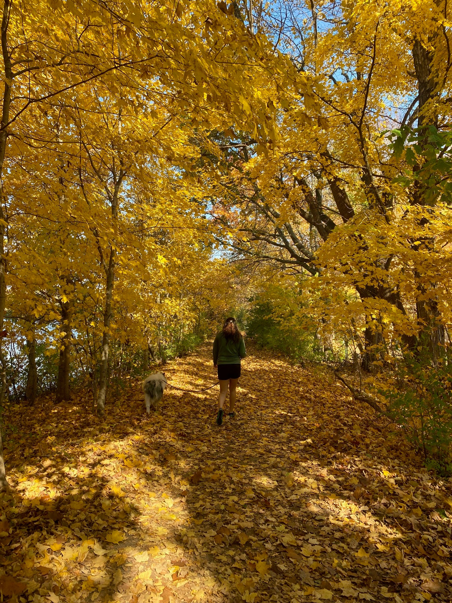 potato creek state park hiking