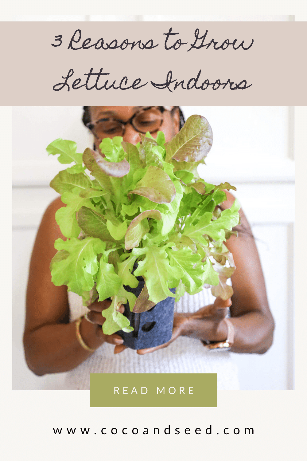 3 reasons to grow lettuce indoors coco and seed blog post graphic
