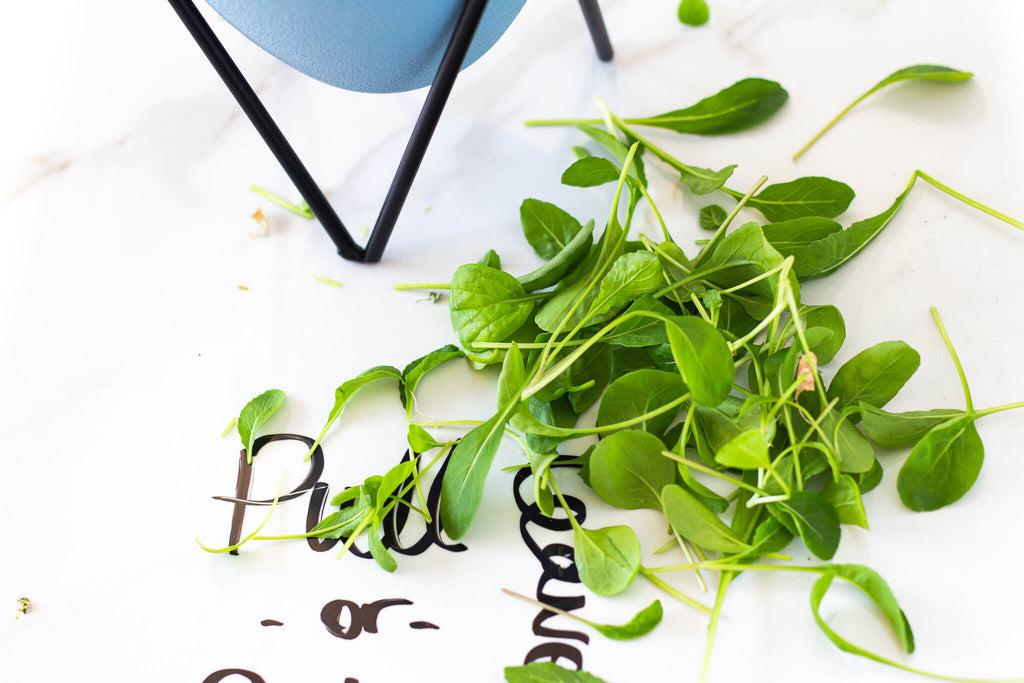 cut arugula leaves on table with writing pull or cut