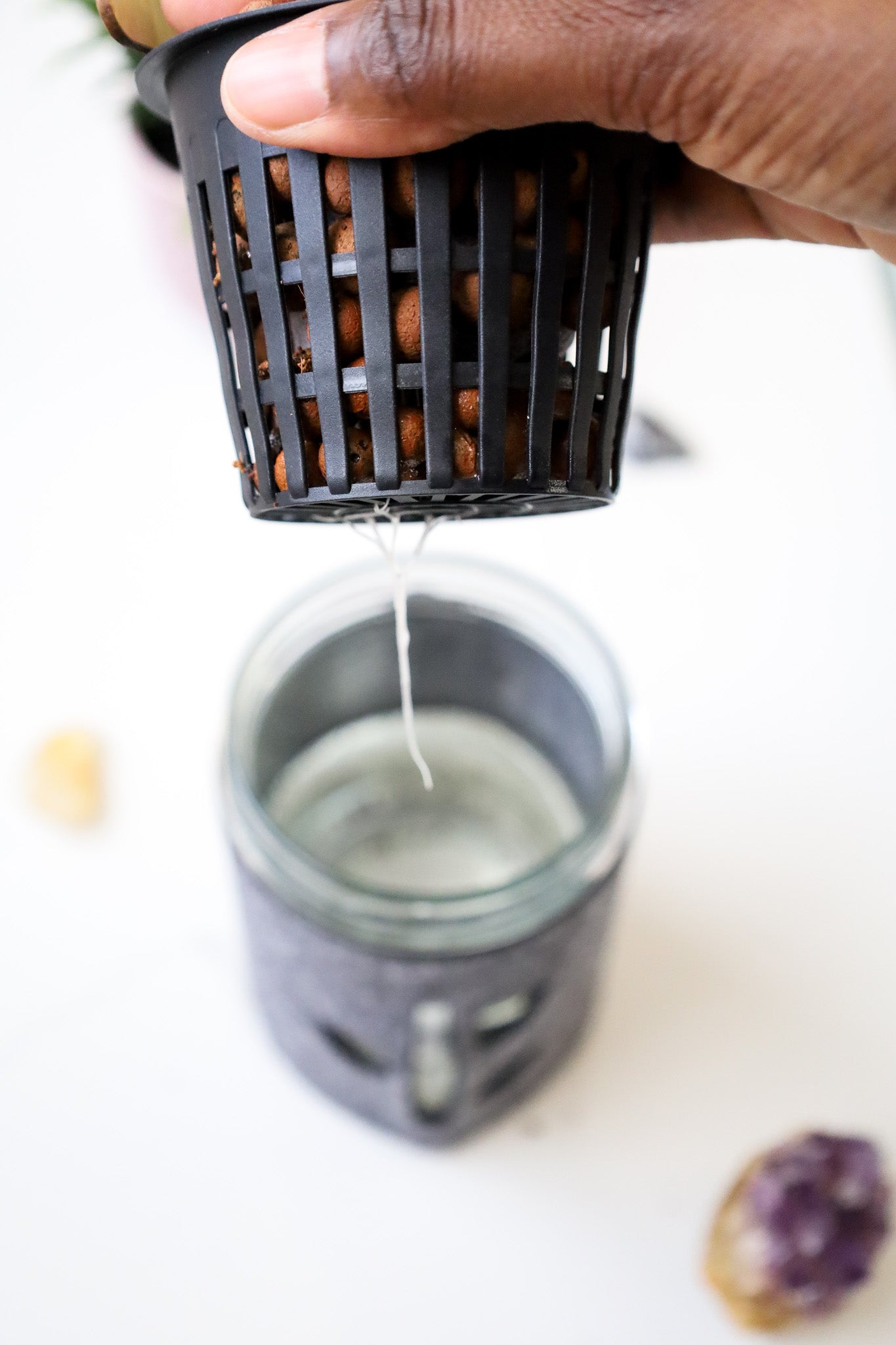 holding black net pot with mason jar garden below showing new arugula plant roots