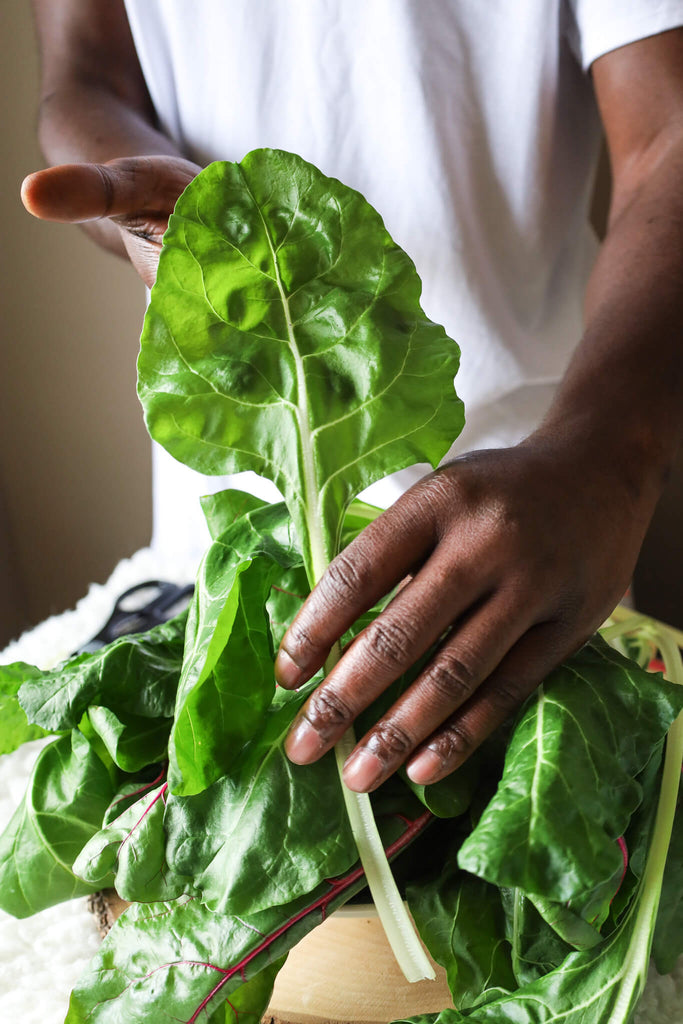 Man holding home grown swiss chard in hands