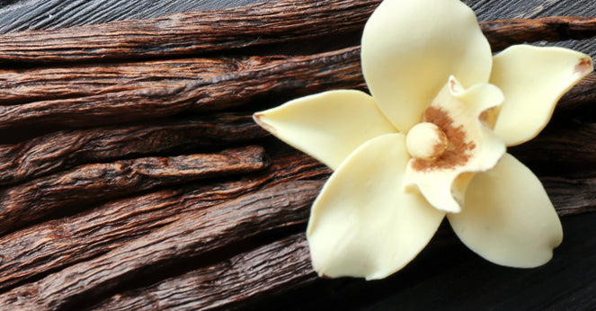 GetUSCart- Gya Labs Vanilla Essential Oil for Diffuser - Vanilla