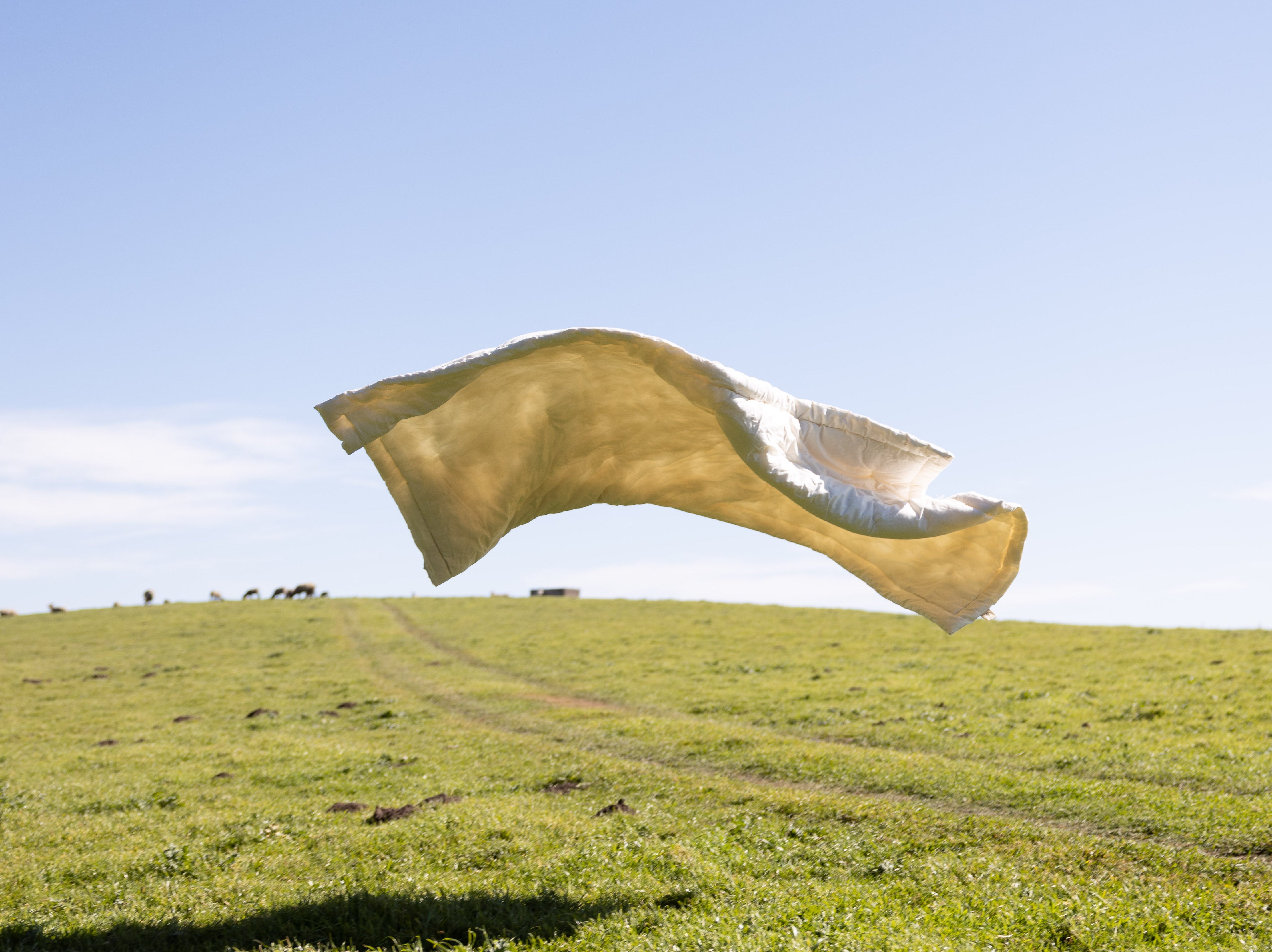 Sonoma Wool Company Comforter falling from the sky over a green field