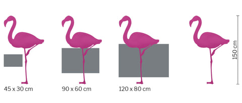 flamingos and image sizes to see the size ratio - art by life