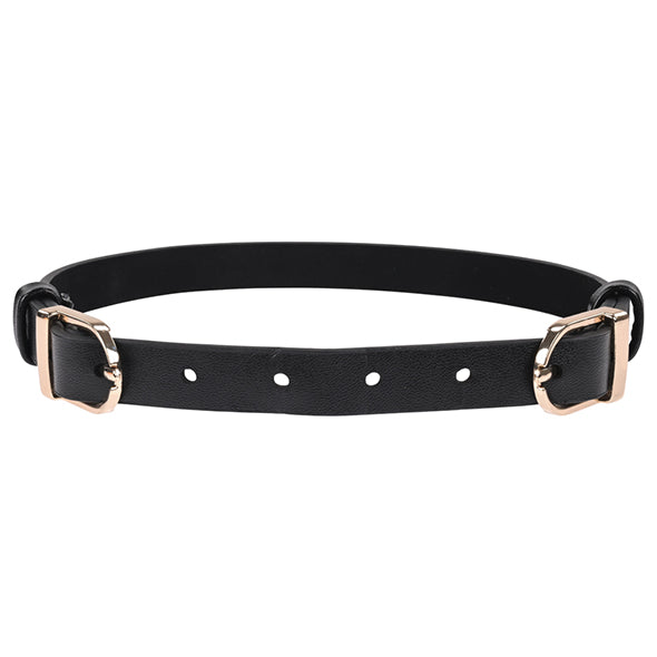 Image of Sportsheets Sex & Mischief Double Buckle Day Collar