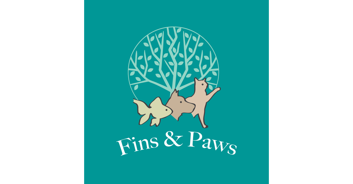 Fur Gift │Unique Online Pet Store for Fur Parents – and Pets – alike