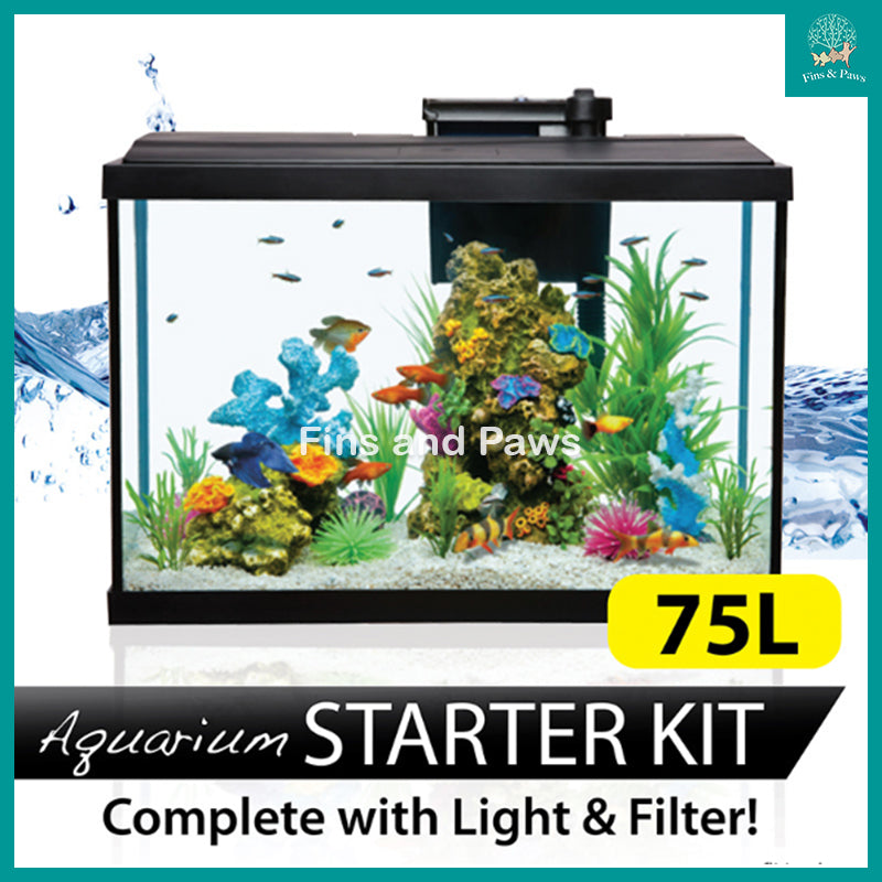 vanavond industrie Barcelona Resun] 75L Grand Starter Aquarium Fish Tank complete with LED Lights – Fins  and Paws