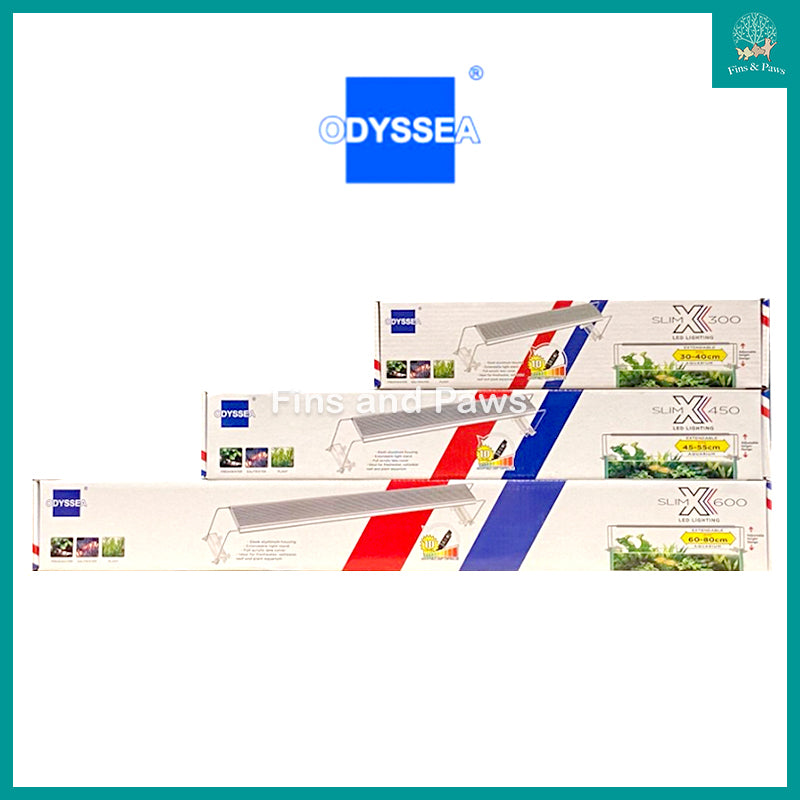 odyssea led light