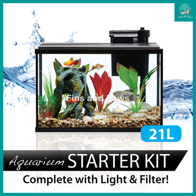 fish tank light starter