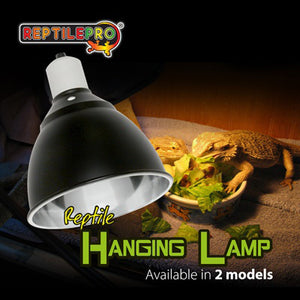 hanging reptile light