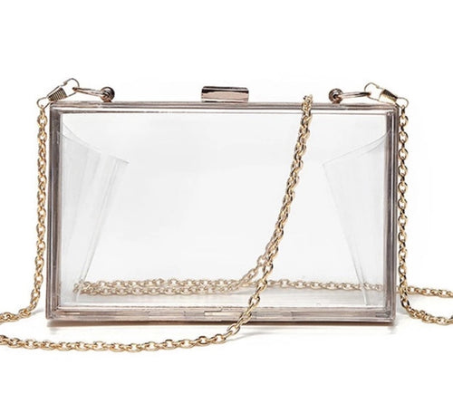 Treasure Box | clear acrylic crossbody purse