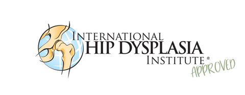hip dysplasia institute baby carriers