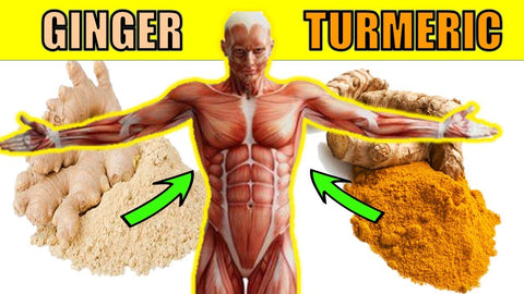 FarmHavrn Ginger vs. Turmeric