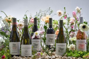 Cederberg Wines 