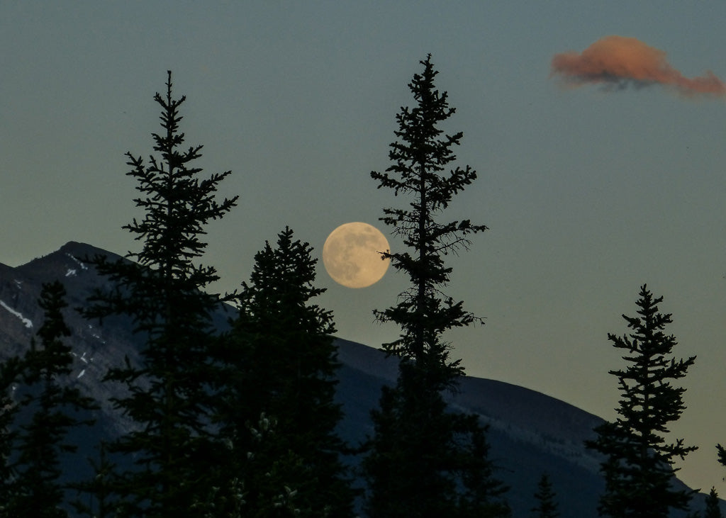 Moon energy in yoga