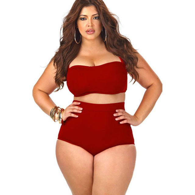 plus size high waisted swimsuit