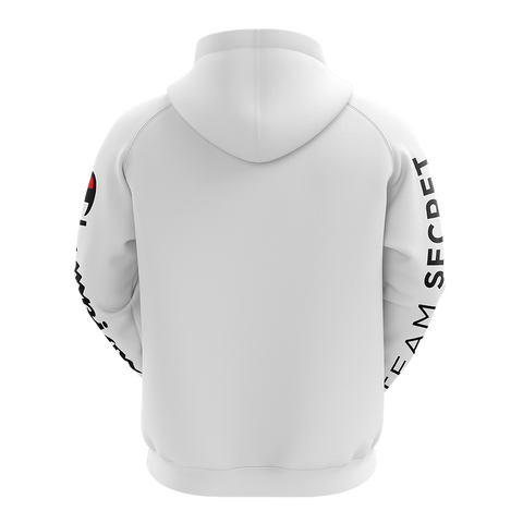 team secret x champion hoodie