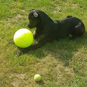 big tennis ball for dogs