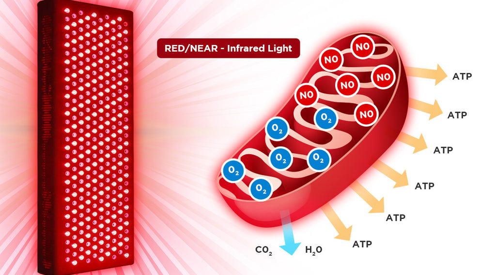 Red Light Therapy Stimulates Cellular Energy Production