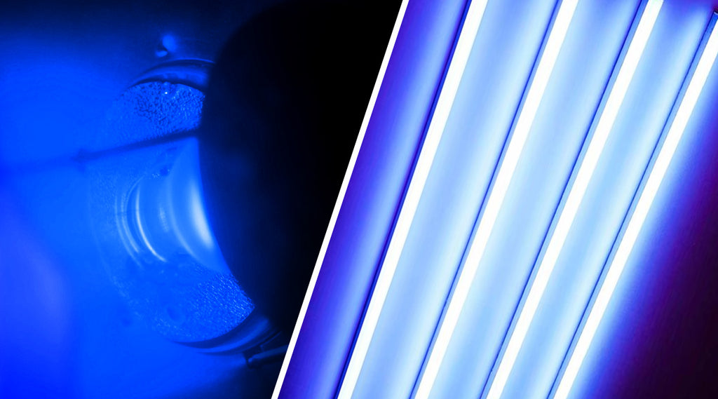 UV and Blue Light Wavelengths