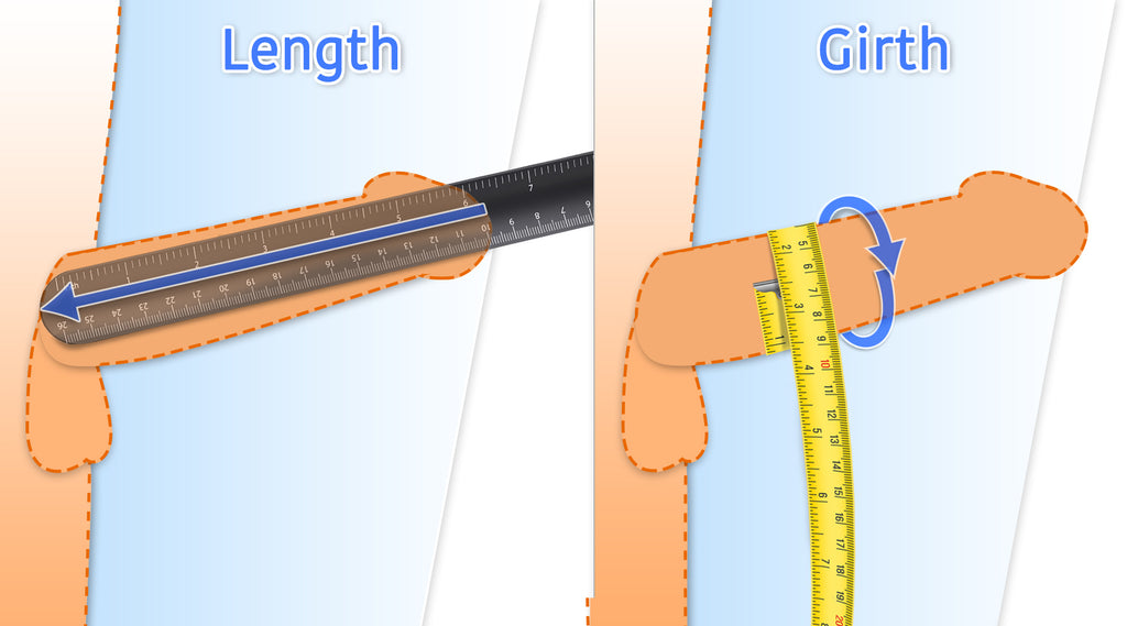how to measure the size and length of your penis