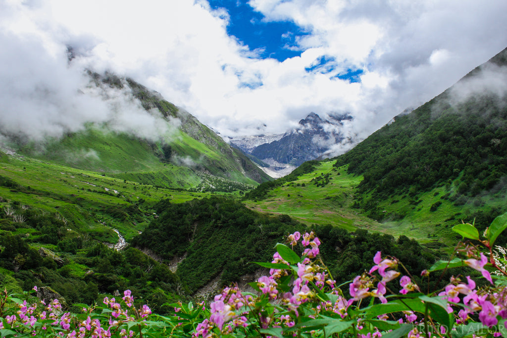Nationalpark Valley of Flowers, Indien