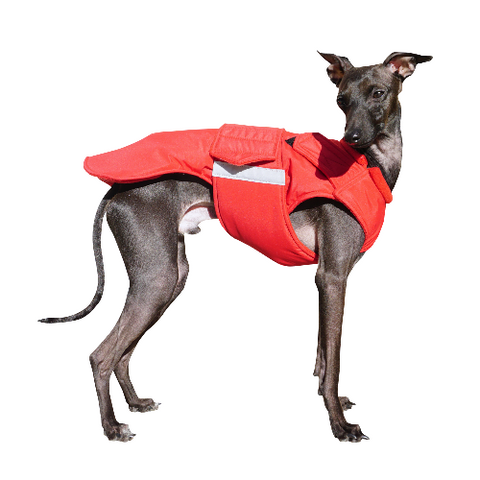 EXTRA WARM WINTER DOG COAT – Pepper Petwear