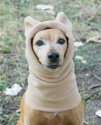 dog snood with ears