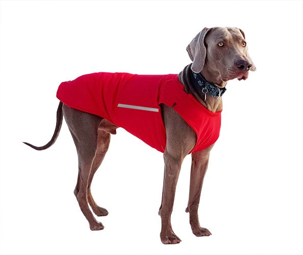 WEIMARANER DOG RAINCOAT / MADE TO ORDER – Pepper Petwear