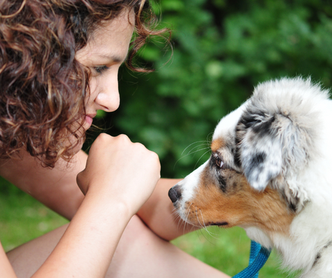 Werde Publisher und generiere Einnahmen mit Yuki cares - Frau mit braunen locken schaut Aussie-Welpen in Blue merle an, beide sind im Profil zu sehen.