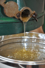 Honig fließt aus der Honigschleuder