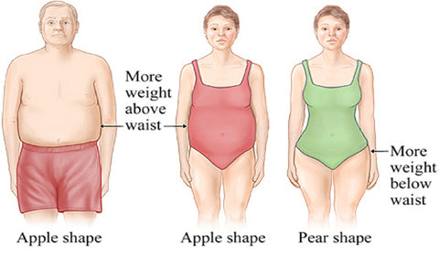 family members are prone to accumulate fat on the belly