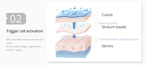 Mesotherapy Hydro Machine triggers cells activitation