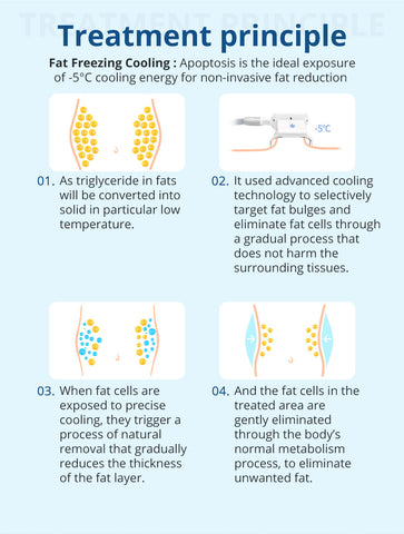 treatment principle