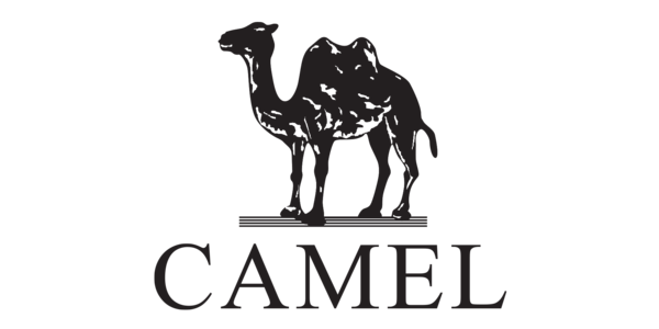 camel crown men's hiking shoes