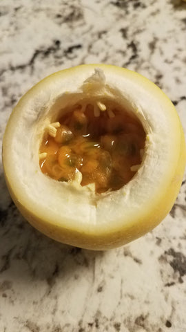 Ripe passionfruit