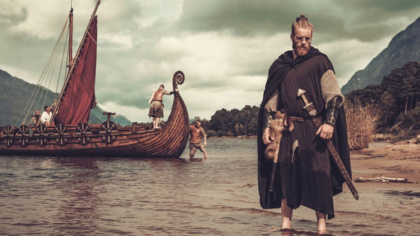 The Vikings Arrive On Shore - The Viking Dragon Blog