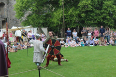 Regia Anglorum at Newark Castle