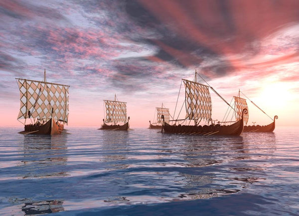 Viking Longships Approaching for a Raid - The Viking Dragon Blog