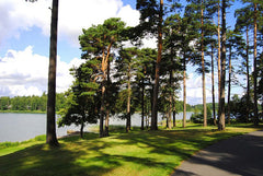 Internationales Wikingerfestival Sarpsborg