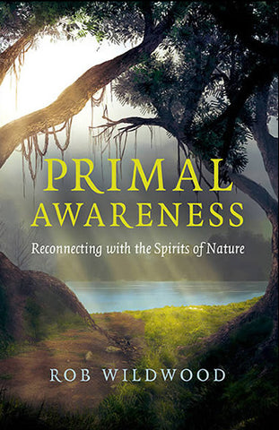 Primal Awareness by Rob Wildwood