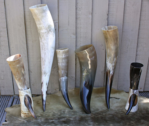 Viking Drinking Horns from The Viking Dragon - Feasting Supplies