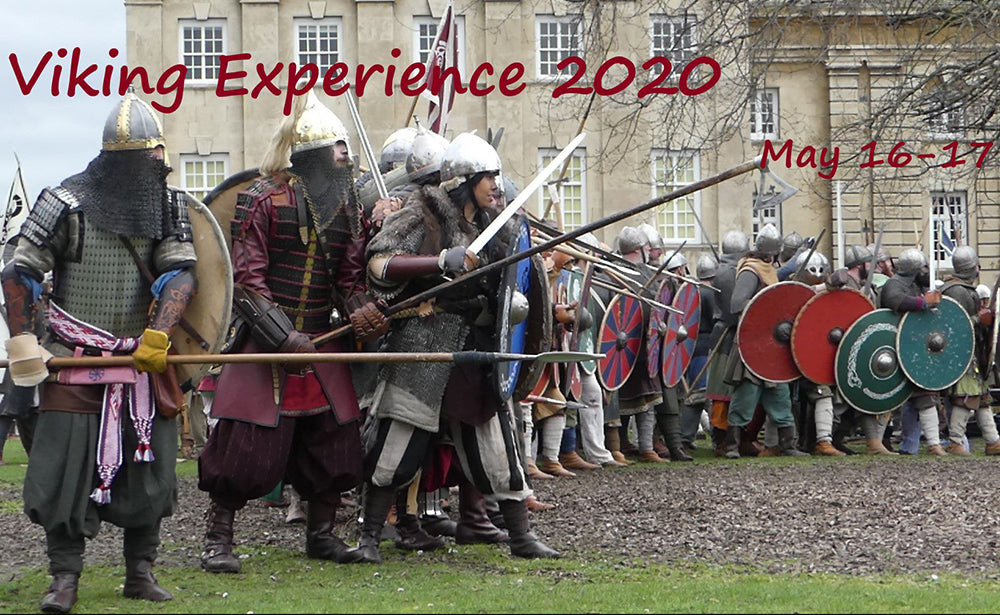 Viking Experience at Portadown