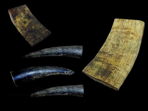 Raw Horn Pieces & Horn Tips - Raw Materials - Viking Crafts