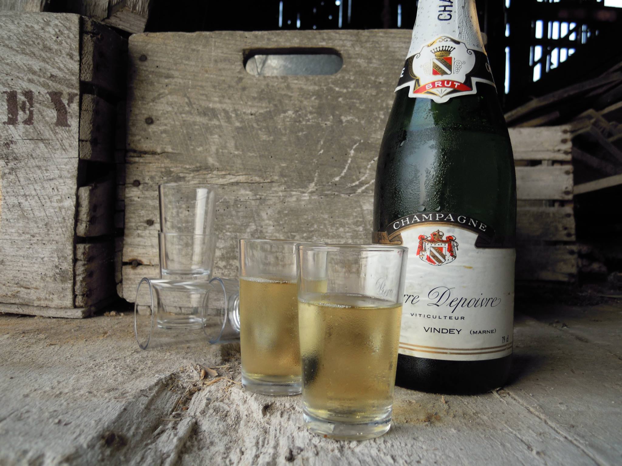 Ve které skleničce pijeme šampaňské?