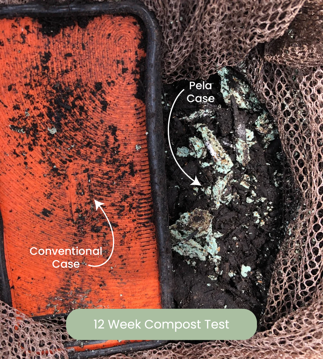 Comparison of composting results: intact conventional case versus degraded Pela case after 12 weeks.