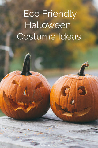 Tips for finding an eco friendly halloween costume from pelacase.com